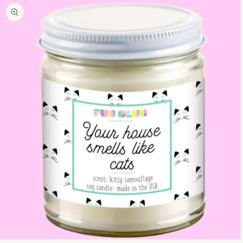NEW Fun Club Your House Smells Like Cats Candle